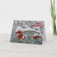 Hippy kerstkaart