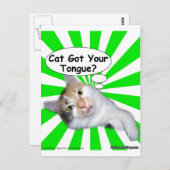Hippy Kitty Cat Got Your Tongue? Briefkaart (Voorkant / Achterkant)