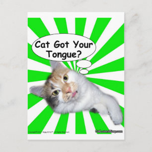 Hippy Kitty Cat Got Your Tongue? Briefkaart