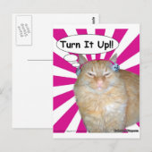Hippy Kitty Turn It Up! Briefkaart (Voorkant / Achterkant)