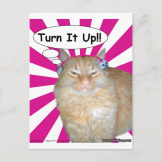Hippy Kitty Turn It Up! Briefkaart