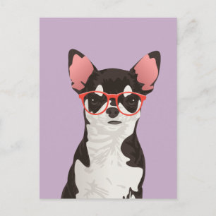 Hipster Black en White Coat Chihuahua Briefkaart