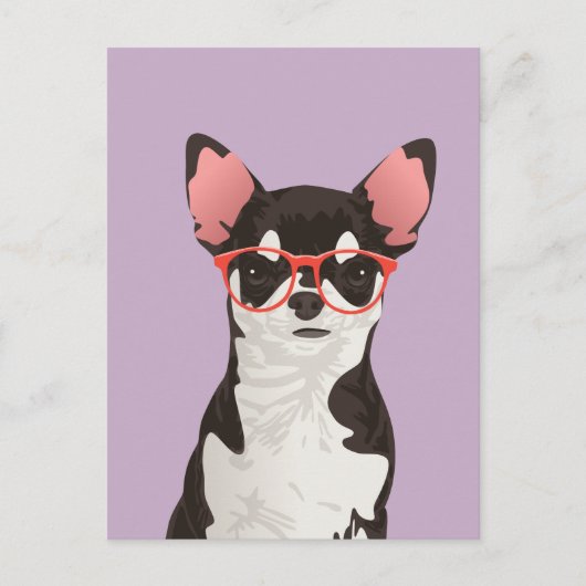 Hipster Black en White Coat Chihuahua Briefkaart (Voorkant)