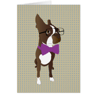 Hipster Boston Terrier