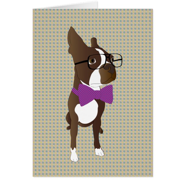 Hipster Boston Terrier (Voorkant)