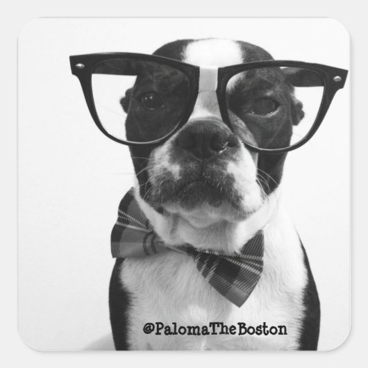 Hipster Boston Terrier met glazen Stickers (Voorkant)