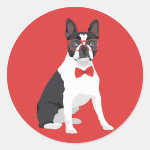 Hipster Boston Terrier met Rode Stropdas & Bow Ronde Sticker