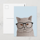 Hipster British Shorthair Cat Briefkaart (Voorkant / Achterkant)