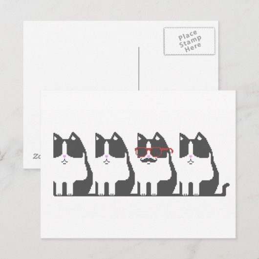 Hipster Cat houdt Pixel Art Briefkaart tegen (Voorkant / Achterkant)