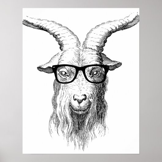 Hipster Goat Poster (Voorkant)