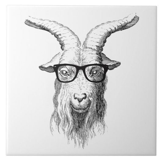 Hipster Goat Tegeltje (Voorkant)