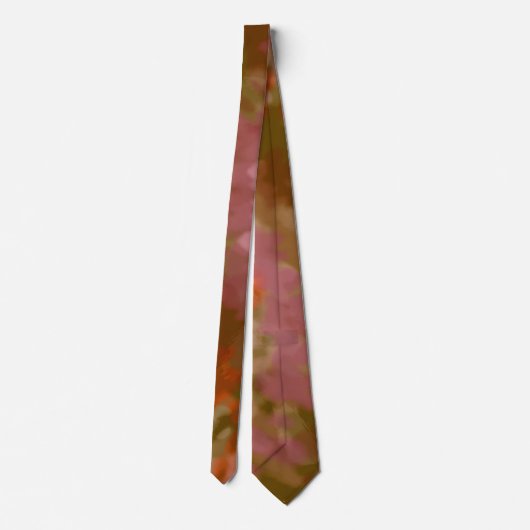 *~* Hipster Herfst Retro Psychodelic Tie Dye strop Stropdas (Achterkant)