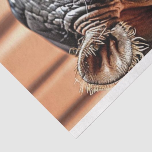 Hipster Hippo Roze Zonnebril Decoupage Links Tissuepapier (Detail)