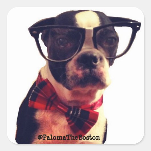 Hipster hond met een bril. vierkante sticker (Voorkant)
