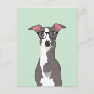Hipster Italiaans Greyhound Dog voor Hondenliefheb Briefkaart