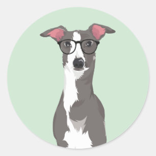 Hipster Italiaans Greyhound Dog voor Hondenliefheb Ronde Sticker