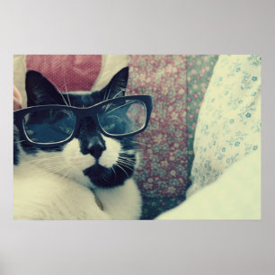 hipster kattevoer poster