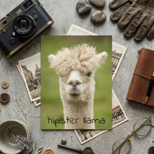 Hipster Lama Funny Hairdo Briefkaart