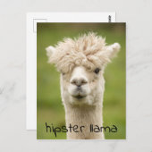 Hipster Lama Funny Hairdo Briefkaart (Voorkant / Achterkant)