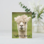 Hipster Lama Grappige Kapsel Briefkaart (Staand voorkant)