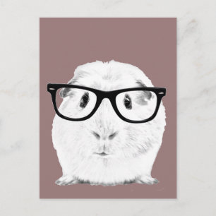 Hipster Pigster Briefkaart