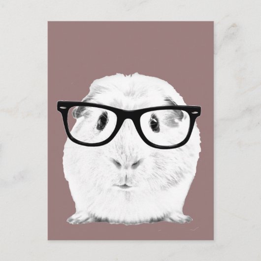 Hipster Pigster Briefkaart (Voorkant)