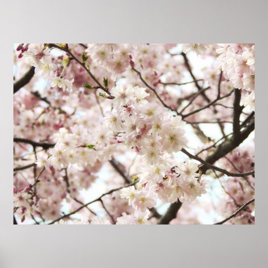 Hipster Poster (Voorkant)