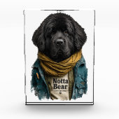 Hipster Stedelijke Newf – Notta Bear Stijl Fotoblokken (Voorkant)