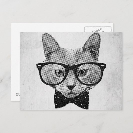  hipsterkat briefkaart (Voorkant / Achterkant)