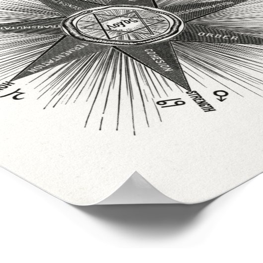 Hiram Eratus Butler - Solar Biology Poster (Hoek)