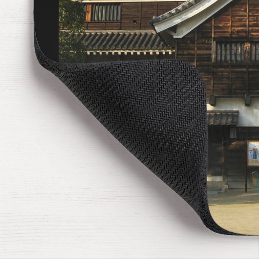 Hiroshima Castle 広 島 城, Hiroshima, Japan Muismat (Hoek)