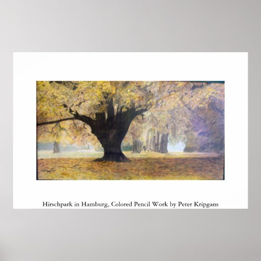 Hirschpark in Hamburg Poster (Voorkant)