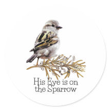 His Eye Is on The Sparrow Bird