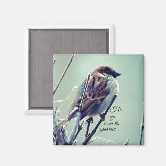 HIs oog staat op de Sparrow Magneet (Voorkant / Achterkant)