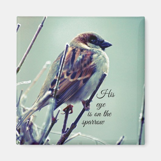 HIs oog staat op de Sparrow Magneet (Voorkant)