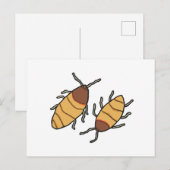Hissing Cockroach Briefkaart (Voorkant / Achterkant)