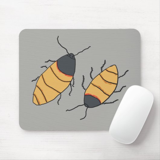 Hissing Cockroaches Muismat (Met muis)