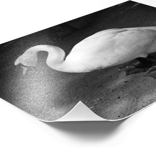 HiSSs Foto Afdruk (Hoek)