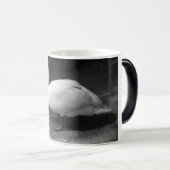 HiSSs Magische Mok (Voorkant rechts)