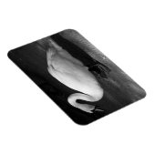 HiSSs Magneet (Rechterzijde)