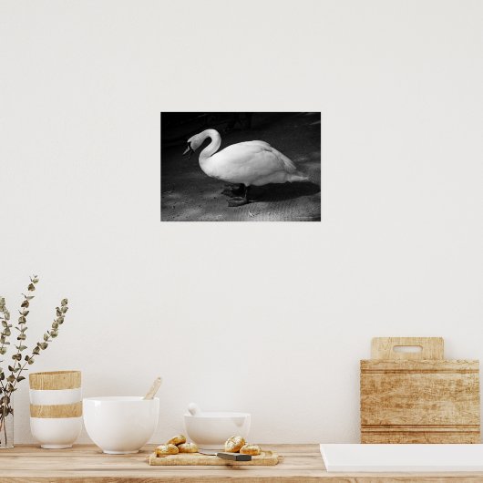 HiSSs Poster (Keuken)