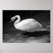 HiSSs Poster (Voorkant)