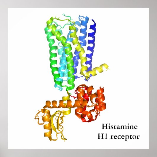 Histaminereceptor Poster (Voorkant)