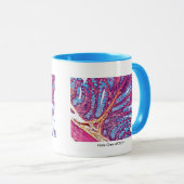 histo klasse mok (Voorkant rechts)