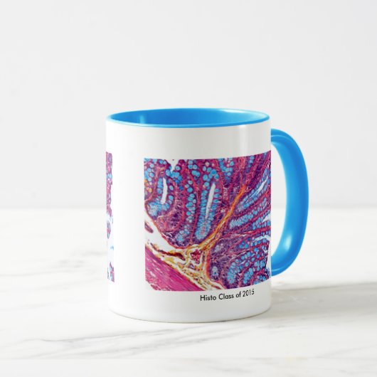 histo klasse mok (Voorkant rechts)