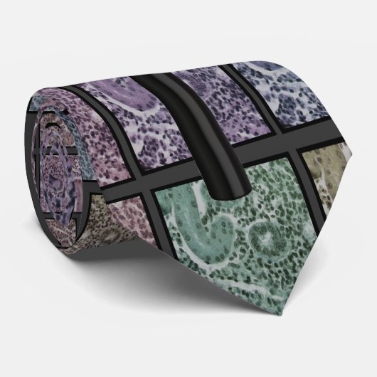 Histologisch Stropdas voor mannen (Opgerold)