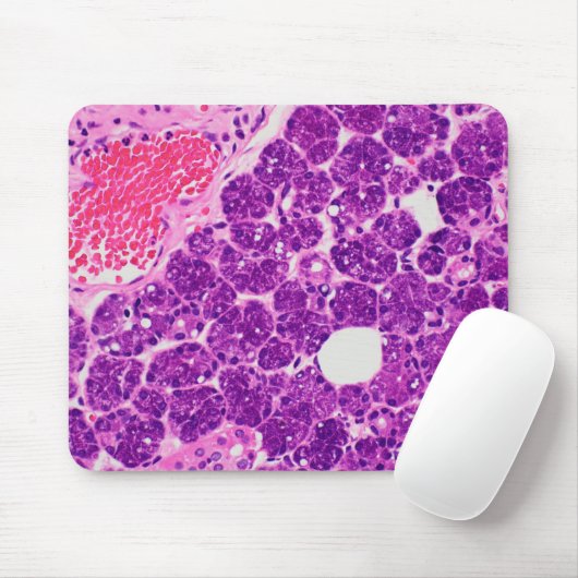 Histology Art - Mousepad Muismat (Met muis)