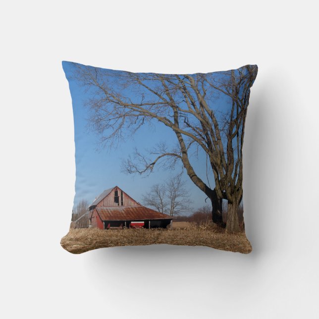 Historic Barn in Illinois, USA Pillow Kussen (Voorkant)