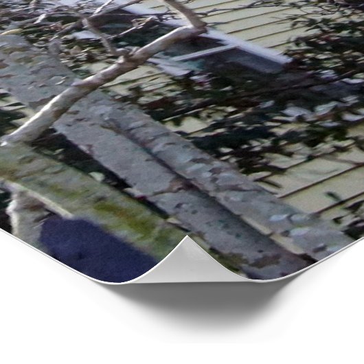 Historic Charleston, SC Poster (Hoek)