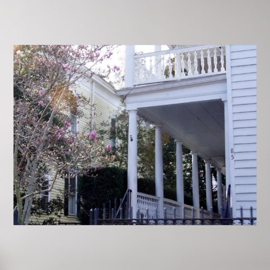 Historic Charleston, SC Poster (Voorkant)